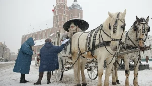 Krakowscy dorożkarze oskarżają aktywistki o zniesławienie i kierują do sądu prywatny akt oskarżenia