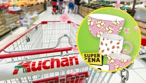 Co kupić na stół wielkanocny 2026? Nowa wiosenna kolekcja Auchan