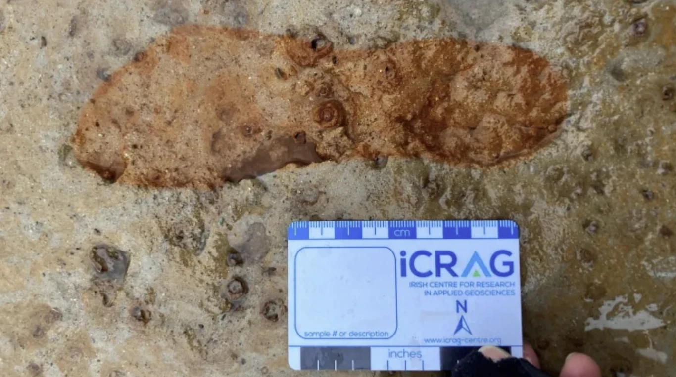 Morze ujawniło ślady ludzi i zwierząt sprzed czasów rzymskiej inwazji na Szkocję Odciśnięty w podłożu ślad ludzkiej stopy o nieregularnych brzegach, przylegający do niego podziałka pomiarowa z logo iCRAG, pokryte przykryta skorupami powierzchnia ziemi.