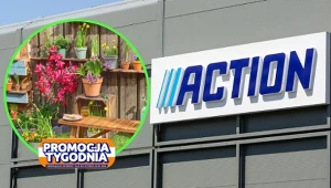 Sezon ogrodowy 2026 w Action: narzędzi i tanie akcesoria ogrodowe