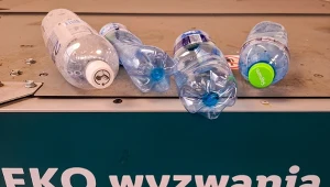 Mimo że butelki po mleku, kefirach czy jogurtach pitnych są wykonane z tworzyw sztucznych są wykluczone z systemu kaucyjnego. 