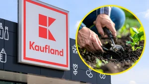 Parkside w Kauflandzie od poniedziałku. Narzędzia i farby ogrodowe w promocji