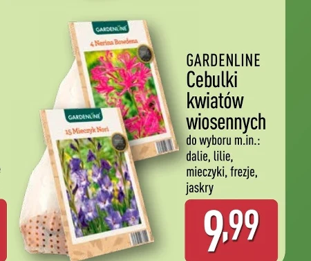 Цибулини квітів Gardenline