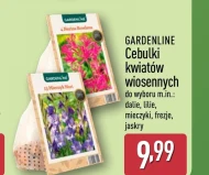 Цибулини квітів Gardenline