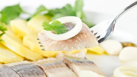 Śledzie są bardzo zdrowe, jednak ze względu na dużą zawartość soli nie można z nimi przesadzać 