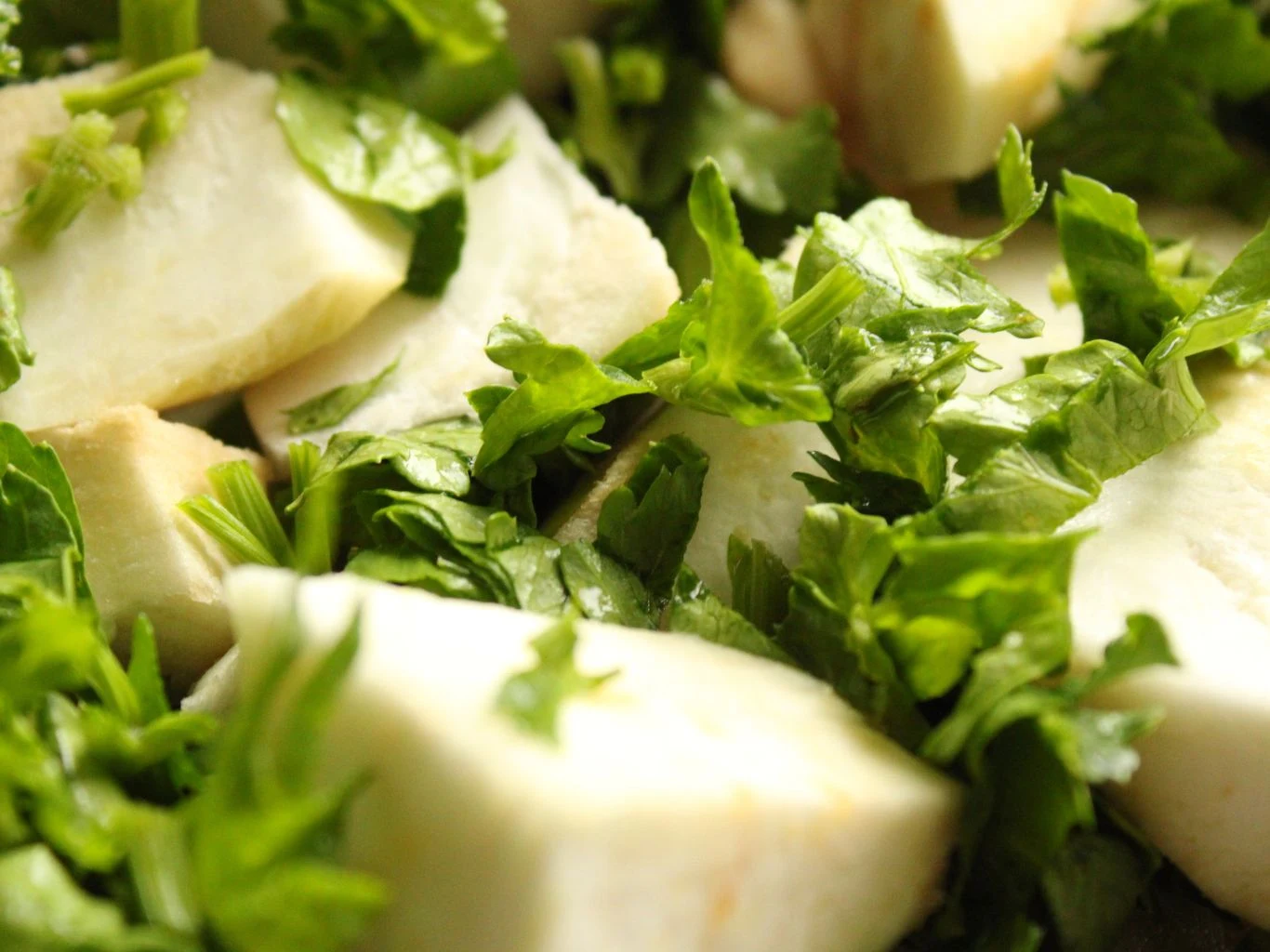 Seler korzeniowy ma wiele cennych właściwości prozdrowotnych Seler korzeniowy ma wiele cennych właściwości prozdrowotnych