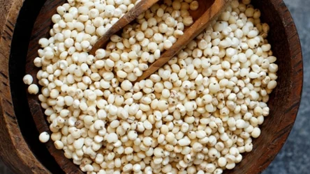 Sorgo to jedno z najważniejszych zbóż świata