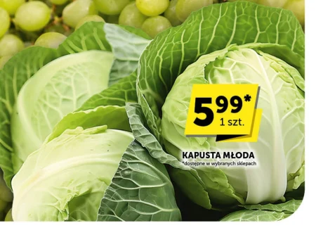 Молода капуста