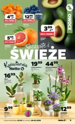 Dyskontowe asy! - Netto