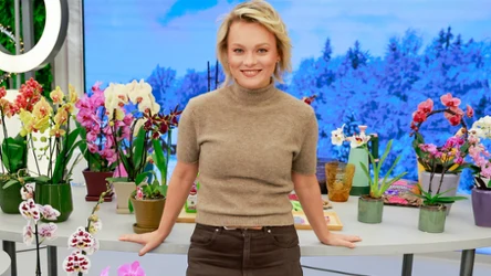 ​Tajemnice storczyków według Kasi Jody. Jak uniknąć błędów i cieszyć się domową uprawą?