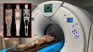 Zagadka tajemniczej mumii z Wrocławia rozwiązana. To ośmioletni chłopiec