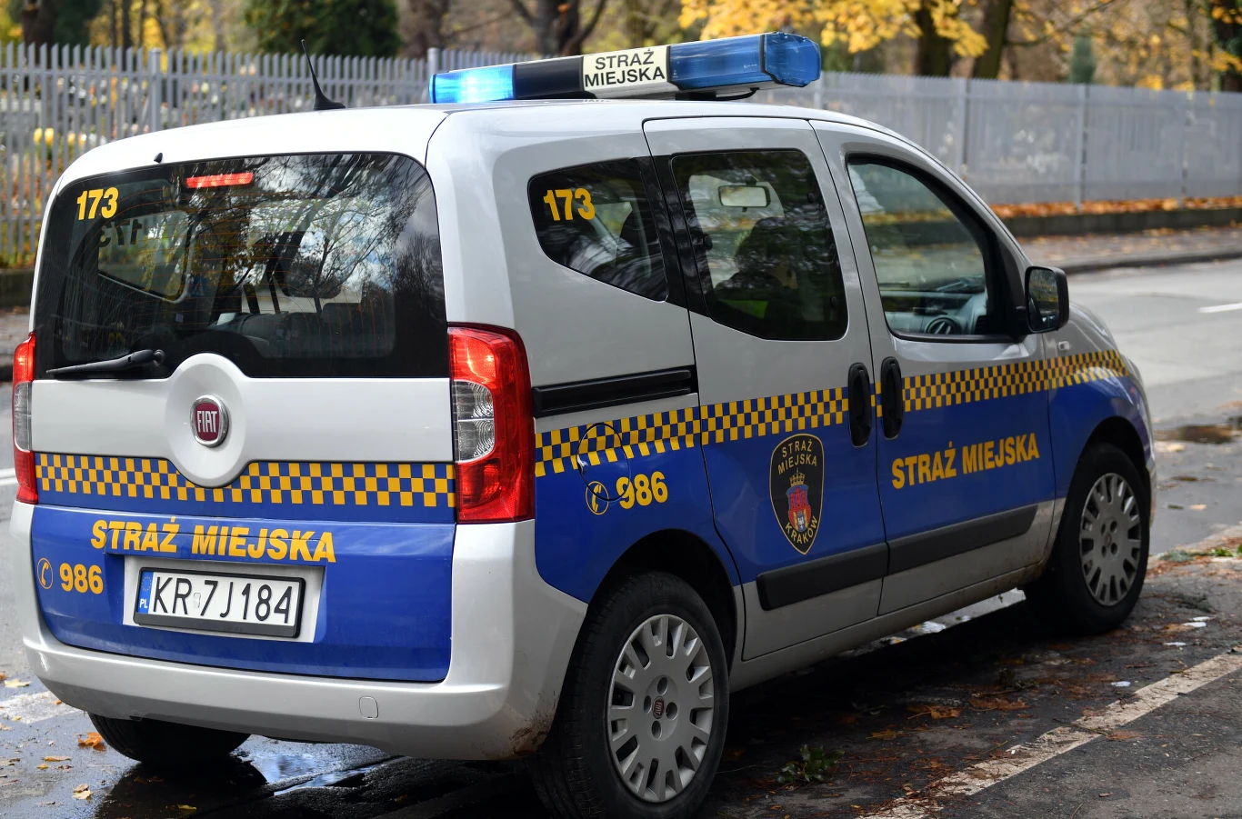 Strażnik kierujący radiowozem był pod wpływem alkoholu (fot. ilustracyjne) Samochód straży miejskiej marki Fiat z niebieskimi światłami na dachu, oznaczeniami i herbem, zaparkowany przy ulicy w otoczeniu jesiennych liści, za niskim metalowym ogrodzeniem.