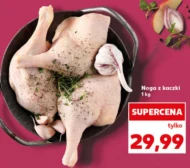 Качина ніжка