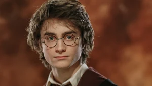 Nigdy nie słyszał gorszego pomysłu. "To nie powinno nigdy powstać"