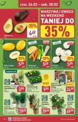 Najlepsze ceny w okolicy - Aldi