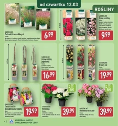 Katalog ogrodowy - Aldi