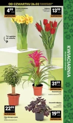 Świeżo i tanio - Delikatesy Centrum