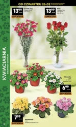 Świeżo i tanio - Delikatesy Centrum