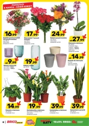 Wielkie oszczędności - Bricomarche