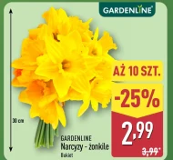 Narcyz Gardenline