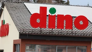 Ogród 2026 startuje w Dino. Tulipany i cebula dymka w nowej ofercie