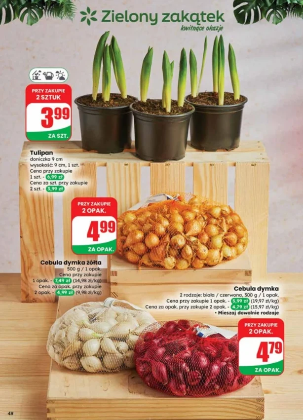 Gazetka promocyjna Dino – oferta „Zielony zakątek” na sezon 2026
