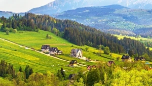 Ten quiz przyrodniczy sprawdzi, jak dobrze znasz znaki zwiastujące wiosnę