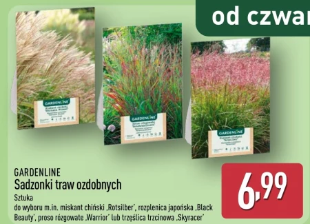 Квіткова розсада Gardenline