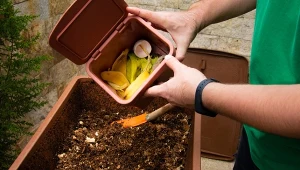 Umyj nią łazienkę i wrzuć na kompost. Będzie lepszy niż kiedykolwiek