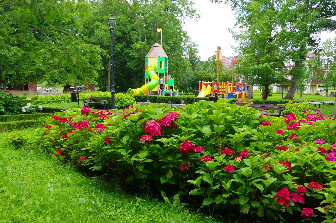 Które krzewy można przycinać wczesną wiosną, a którym to zaszkodzi? Które krzewy można przycinać wczesną wiosną, a którym to zaszkodzi?