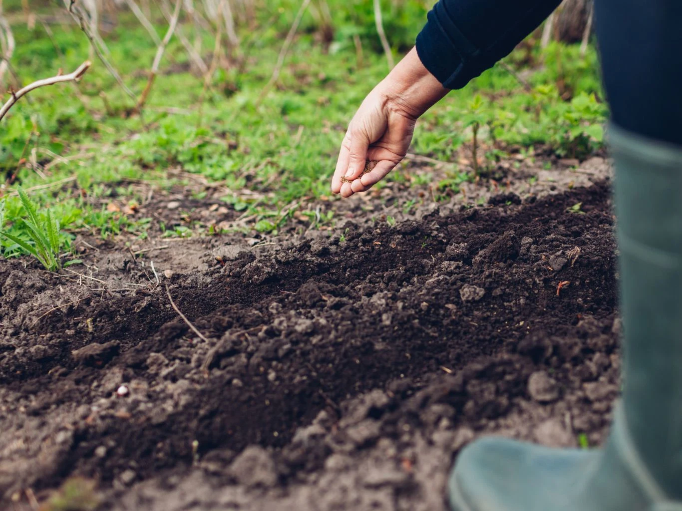 Antyalergiczna gąbka świetnie nadaje się do wykorzystania w ogrodzie. Ręka człowieka siająca nasiona w rządku na przygotowanej grządce ogrodowej, w tle zielone rośliny oraz fragment gumowego buta.