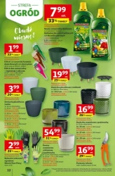 Pięknie dziś wyglądasz - Auchan Hipermarket