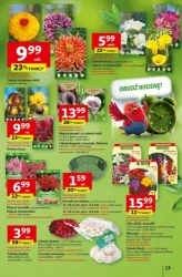 Pięknie dziś wyglądasz - Auchan Hipermarket