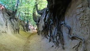 Jedyna taka kraina w Polsce i Europie. Nie spotkasz tam tłumów turystów