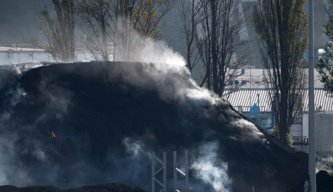 "Afera węglowa". Rzecznik rządu: Charakterystyczne działanie dla Morawieckiego (zdj. ilustracyjne)