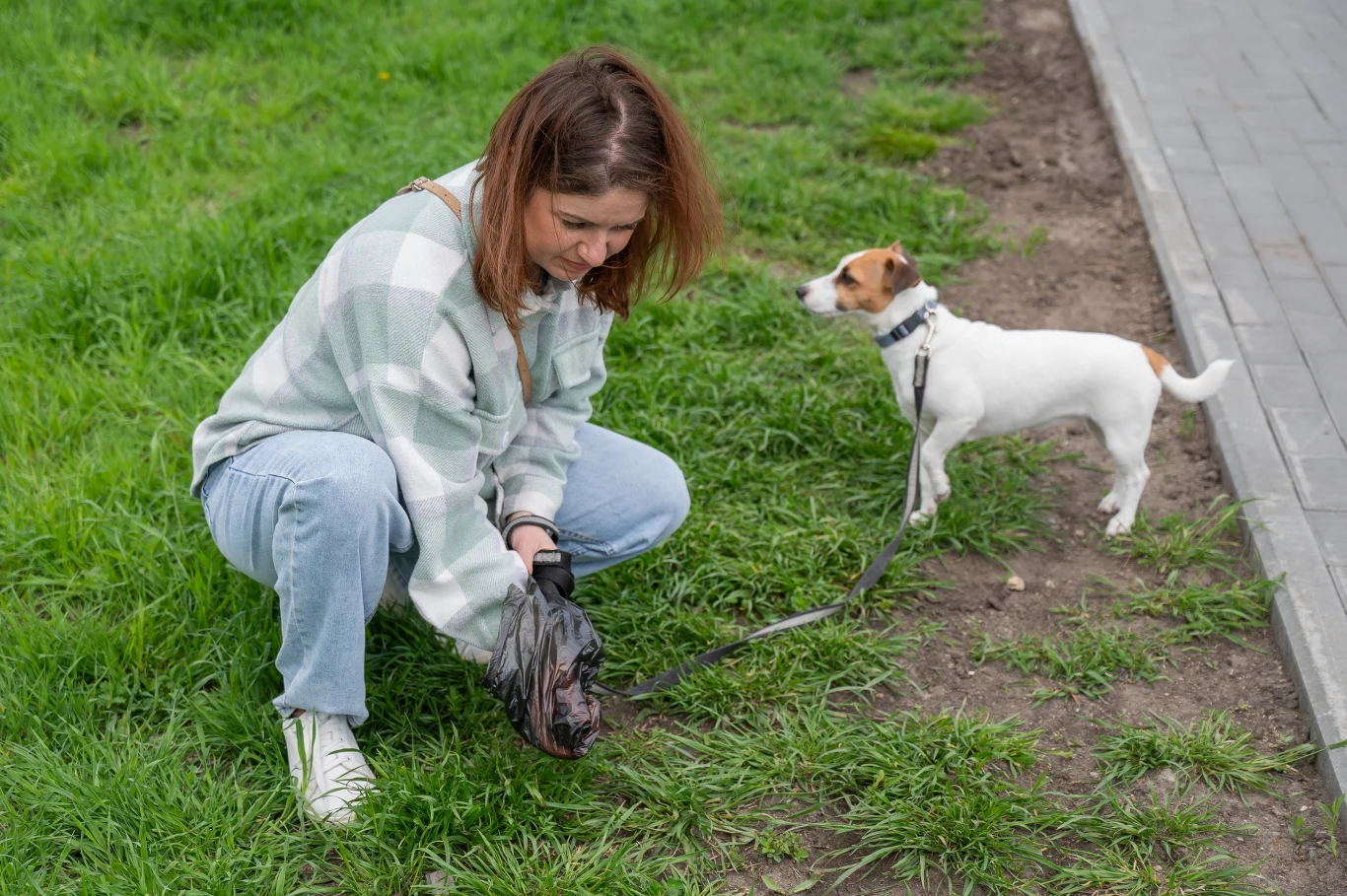 Kobieta w jasnej kurtce i dżinsach kuca na trawie, zbierając odchody swojego psa do czarnej plastikowej torebki. Obok niej stoi pies w obroży na smyczy, patrząc w bok, a w tle widoczny jest chodnik i trawa.
