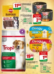 Najbliżej Ciebie! - Dino