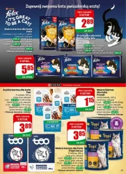 Najbliżej Ciebie! - Dino