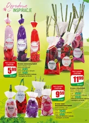 Najbliżej Ciebie! - Dino