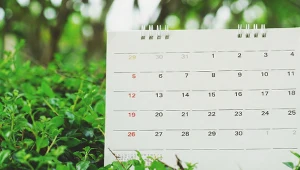 Ledzień, łżykwiat i stojaczka, czyli o etymologii nazw polskich miesięcy