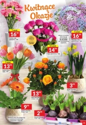 Świeżo i tanio - Twój Market