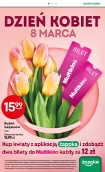 Hity cenowe w zasięgu ręki –  Żabka