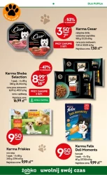 Hity cenowe w zasięgu ręki –  Żabka