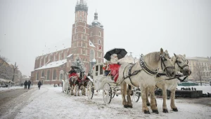 Krakowskie Stowarzyszenie Obrony Zwierząt domaga się wprowadzenia pilotażowego programu dorożek elektrycznych w Krakowie.