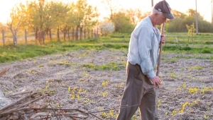 Sprawdź, zanim spalisz gałęzie w ogrodzie. Tak unikniesz mandatu