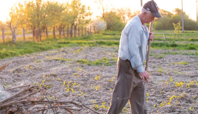 Czy palenie gałęzi w ogrodzie zawsze jest zabronione?