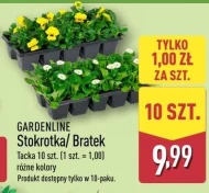 Пансі Gardenline