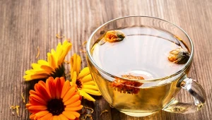 Stłuszczona wątroba poczuje ulgę. Najlepszy domowy napar