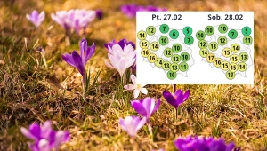 Wiosna jeszcze w lutym. Rekordowe ocieplenie w weekend