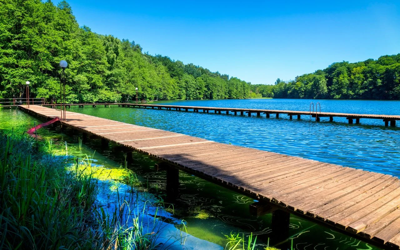 Jezioro Drawsko Drewniany pomost prowadzący w głąb jeziora otoczonego gęstym, zielonym lasem. Tafla wody odbija intensywnie niebieskie niebo, a wokół brzegu widoczne są bujne trawy.